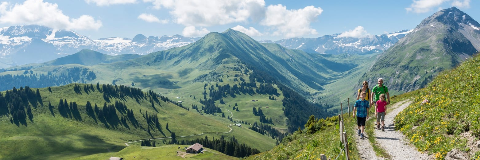 https___www.myswitzerland.com_-_media_dam_resources_places_z_w_zweisimmen_images summer_36302_32001800 https___www.myswitzerland.com_-_media_dam_resources_places_z_w_zweisimmen_images summer_36302_32001800